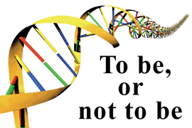 DNA To Be, or Not To Be Created