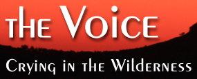 The Voice Blog - Bearing Witness to the Truth