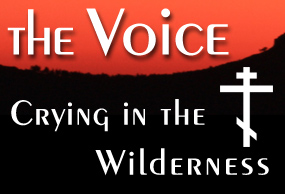 The Voice Blog - Bearing Witness to the Truth