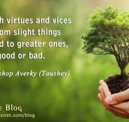 Both Virtues and Vices Start from Slight Things