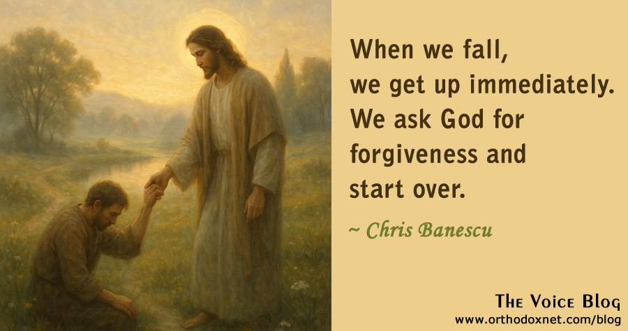 When You Fall, Get Up and Start Again, Never Give Up